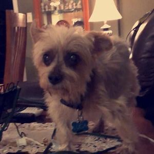 Meet your Posher, Peggy